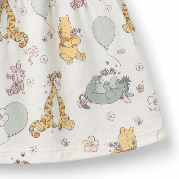 Baby Girl Center Button Frock (0–3 Years)